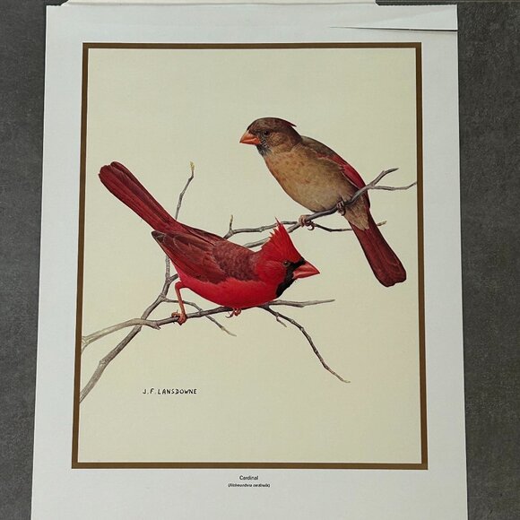Vintage 1970 & 1971  Calendar Prints J.F. Lansdowne Birds - Picture 2 of 9